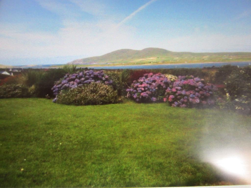 Ocean View B&B Killarney Eksteriør billede